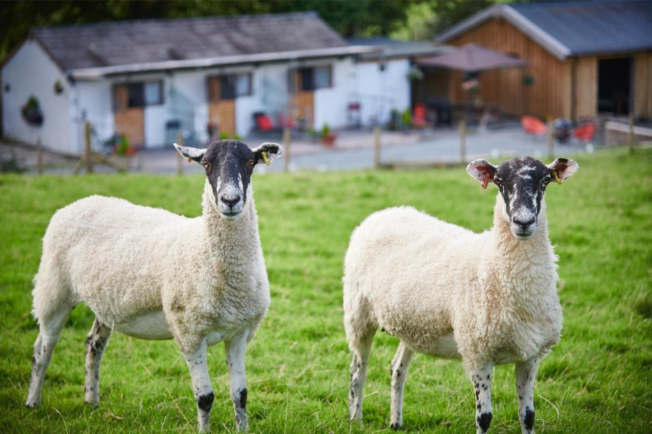Newlands Farm Stables Βίλα Κένταλ Εξωτερικό φωτογραφία