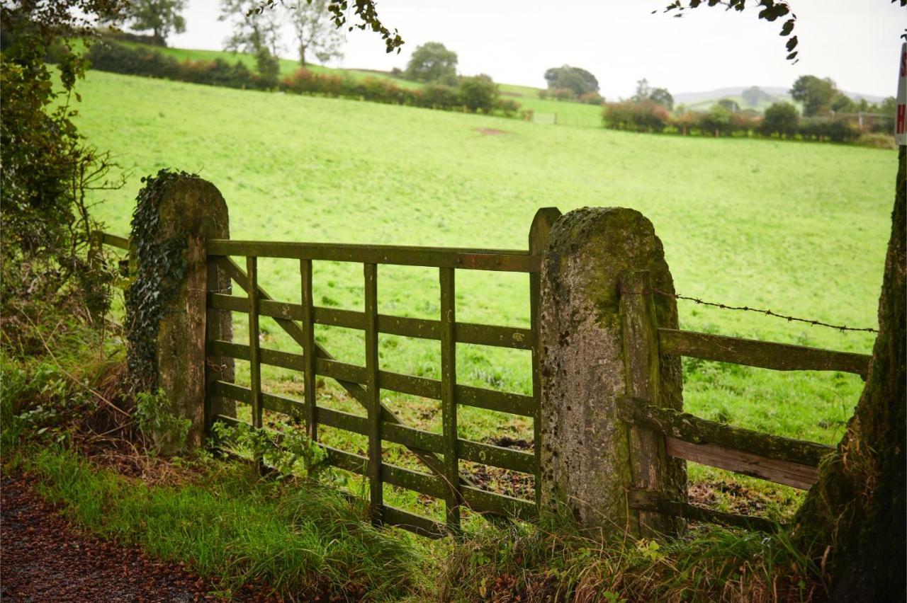 Newlands Farm Stables Βίλα Κένταλ Εξωτερικό φωτογραφία